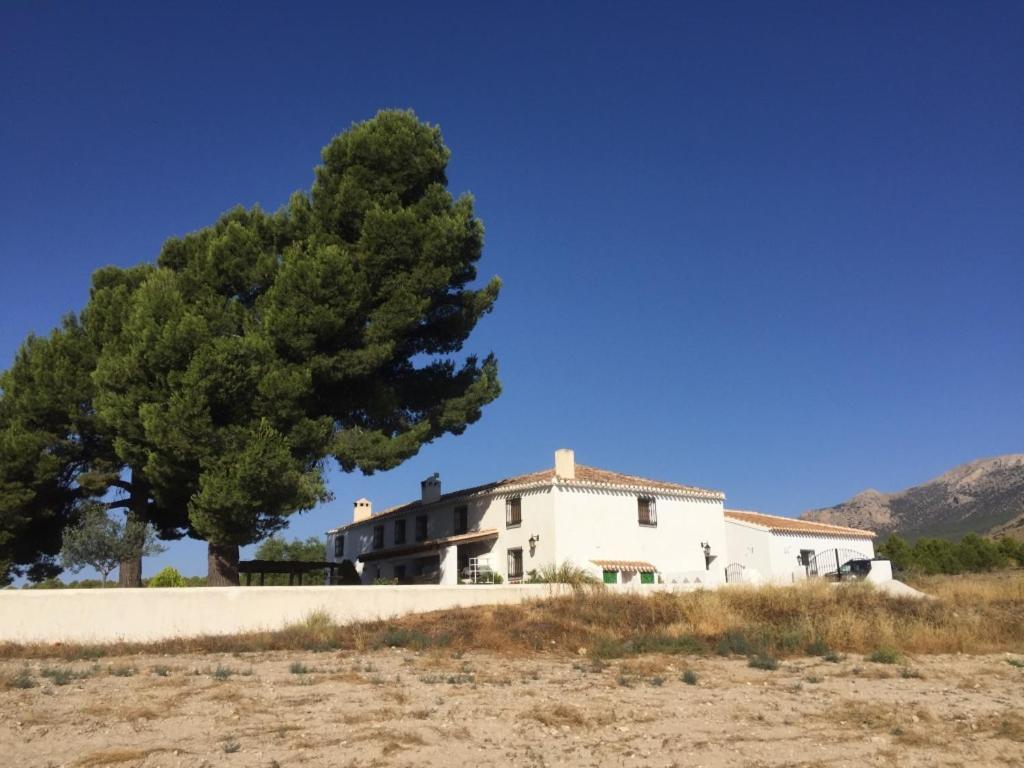 B&B Cortijo El Ciruelo Chirivel Bagian luar foto