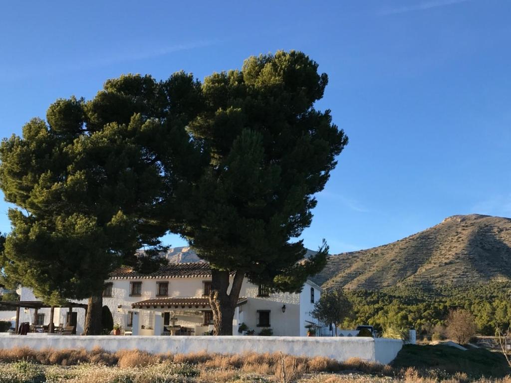 B&B Cortijo El Ciruelo Chirivel Bagian luar foto