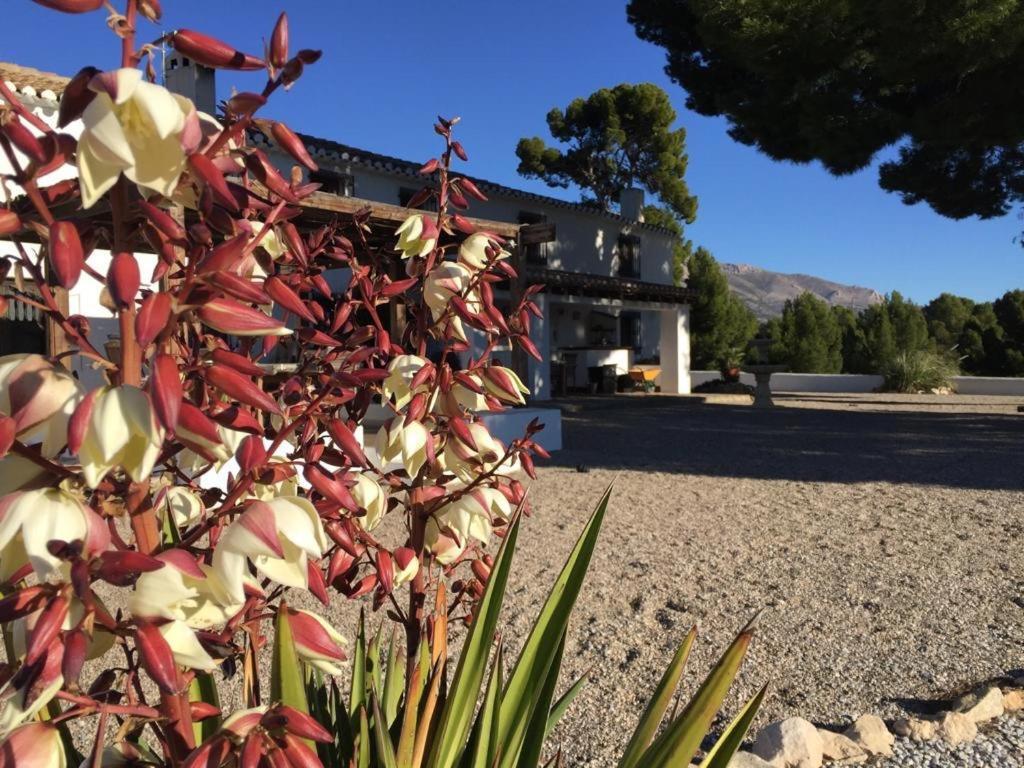 B&B Cortijo El Ciruelo Chirivel Bagian luar foto